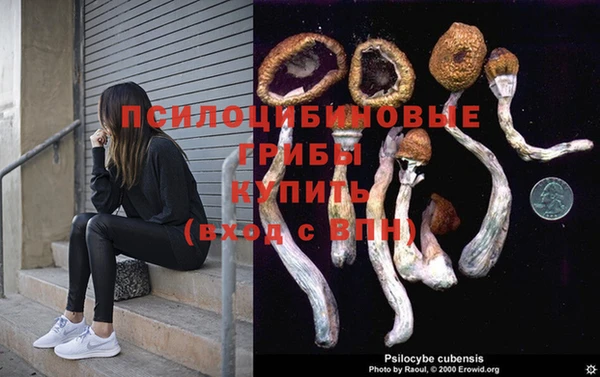 ешки Алзамай