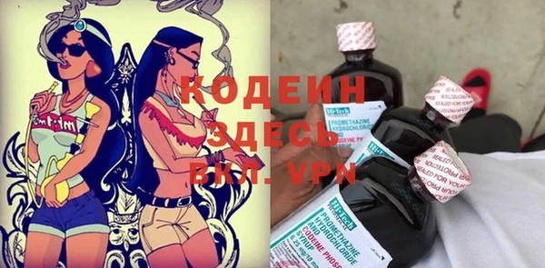 ешки Алзамай