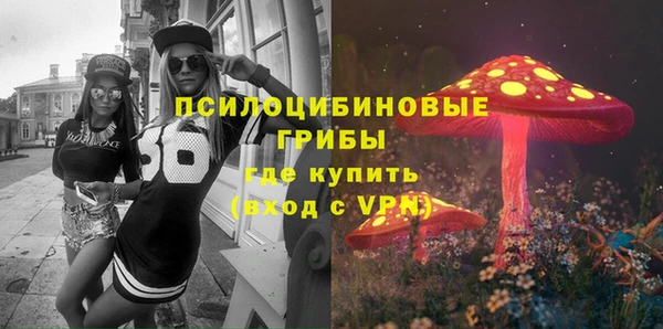 первитин Алексеевка