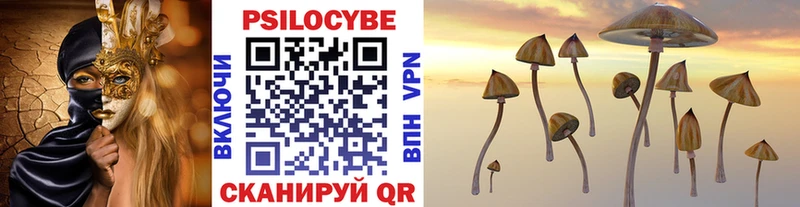 Псилоцибиновые грибы GOLDEN TEACHER  Амурск 